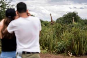 honeymoon safari Tanzania zanzibar